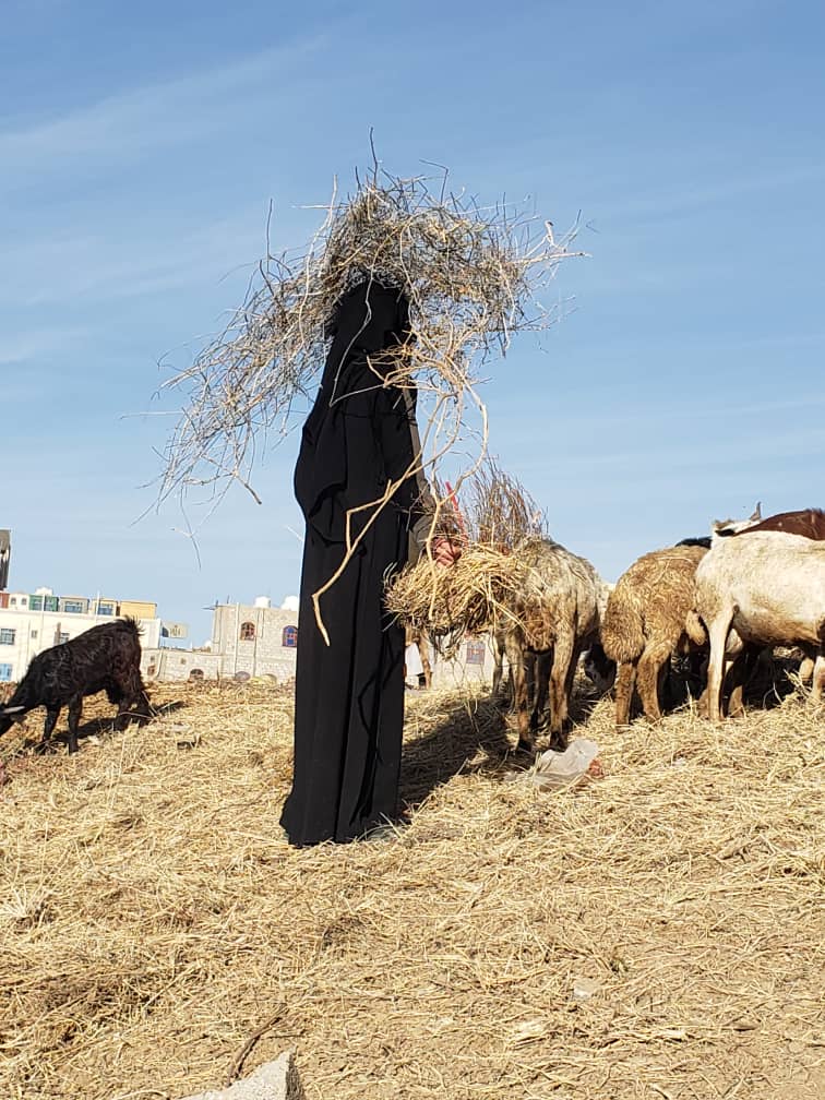 فتيات اليمن يواجهن نمط حياة مختلف بين المدينة والريف
